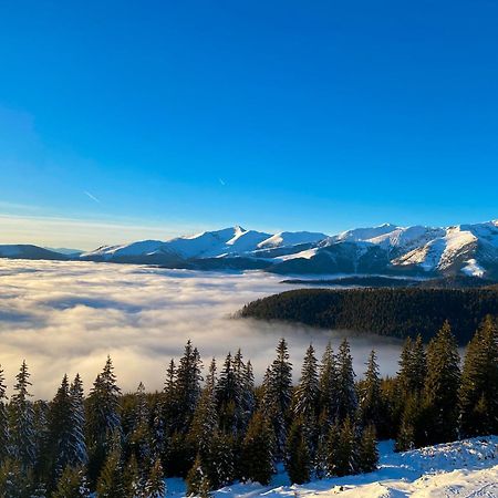 Pensiunea Zimbru Rânca Exteriér fotografie